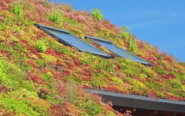 Kirkby On Bain living roof systems